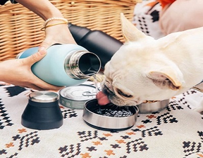 Everich Dog Water Bottle: Prioritizing Pets' Health and Happiness