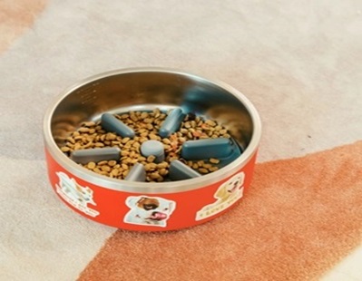 Guide to Stainless Steel Pet Bowls Wholesale: From Safety to Practicality
