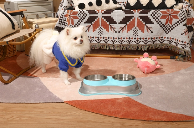 Innovative Designs for Pet Comfort